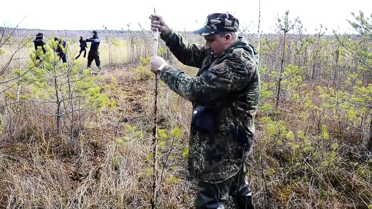 Святое болото. Губайловское верховое болото. Болото Настасьин рукав. Болото в Менюшах.