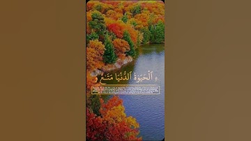من آيات الذكر الحكيم #خشوع #راحه نفسيه