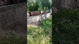 Spur1 im Garten mit Km1 BR 55