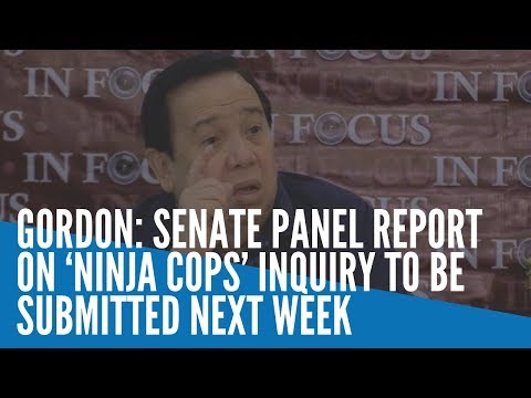 Gordon: Senate panel report on ‘ninja cops’ inquiry to be submitted next week