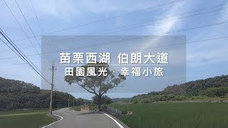 苗栗西湖伯朗大道田園風光幸福小旅【影片建有cc字幕】 