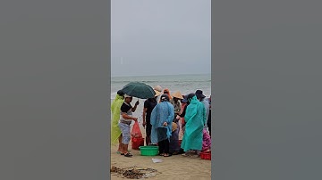 Cận cảnh người dân đánh bắt và bán cá Tươi Rói tại ven biển Mân Thái Đà Nẵng #danang #dulichdanang