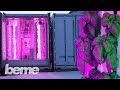 Kimbal Musk's Farm of the Future (Yes, Elon's brother)
