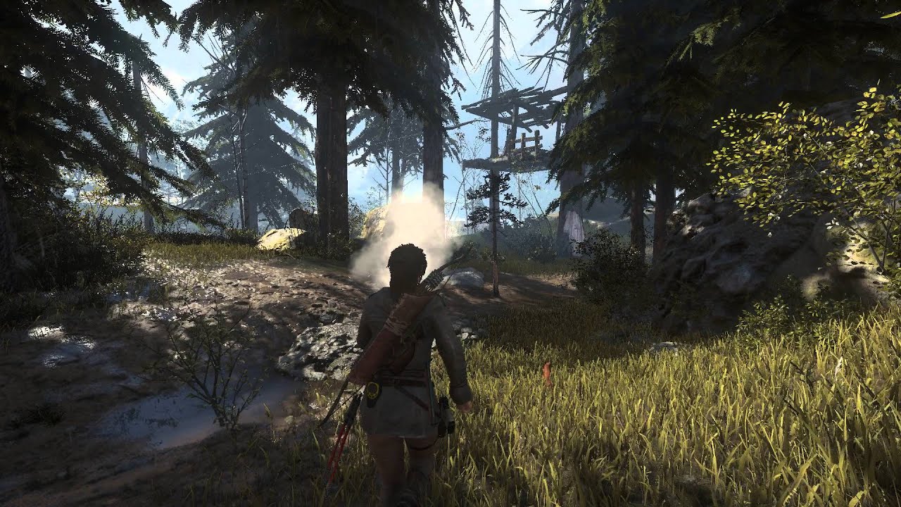 Rise of the Tomb Raider в режиме DirectX 12 тест GPU