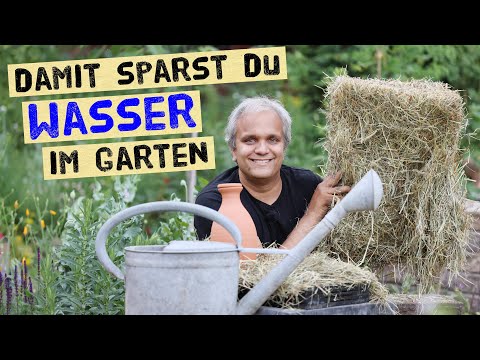 Video: Heu als Mulch verwenden: Tipps zum Mulchen Ihres Gartens mit Heu