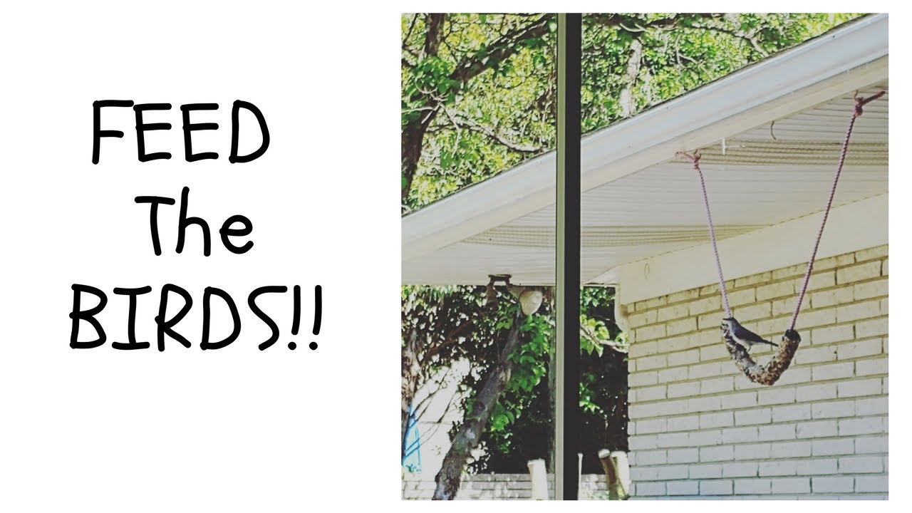 Giant Homemade Bird Feeder Youtube