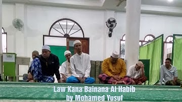 Law Kana Bainana Al Habib#Mohamed Youssef#