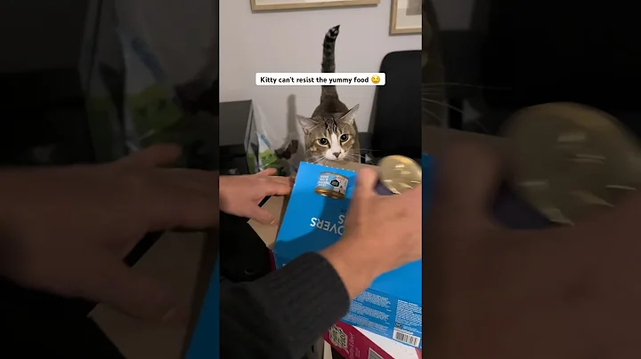 Watch the video about Kitty can’t resist her wet food unboxing 😻🥓Funny cat video #funnycatvideos #cat #funny #viral