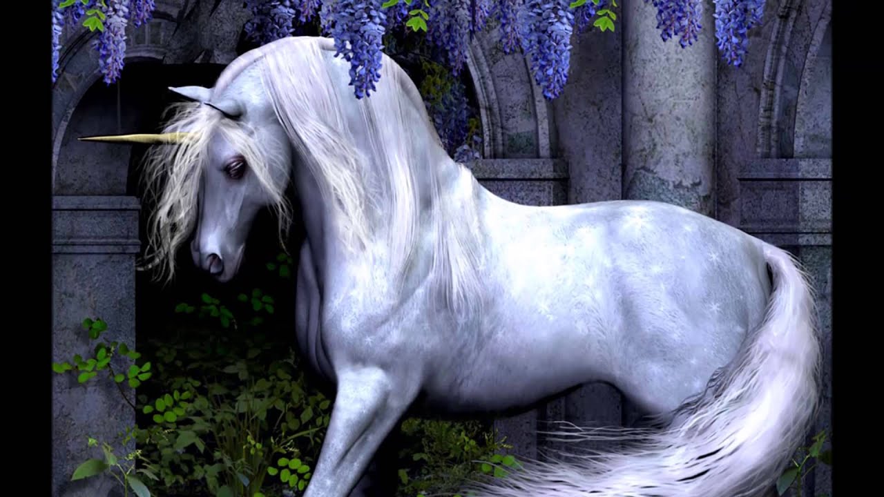 Jarek Laaser - Lonely Unicorn