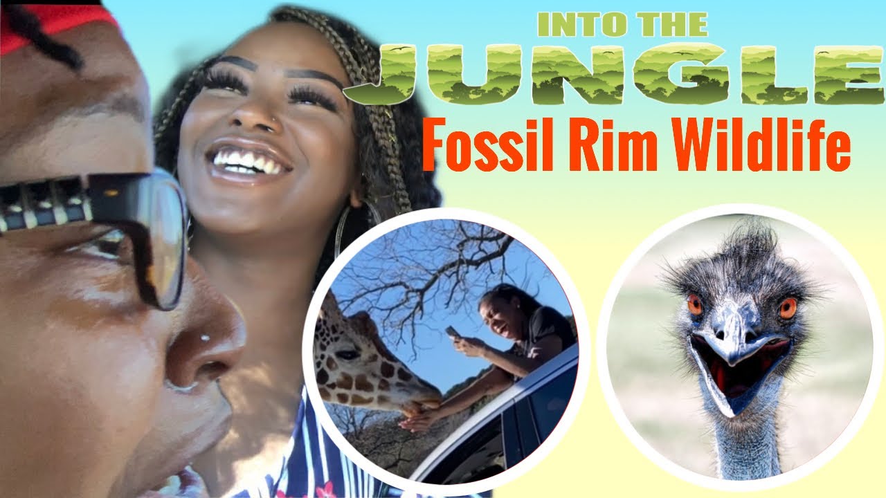 Drive Thru Safari Fossil Rim Wildlife Center [Glen Rose, TX] YouTube