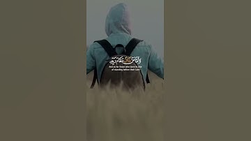 اجمل تلاوة القران الكريم القارئ رعد الكردي ماشاءالله صوت حالات واتس اب ❤️🥰