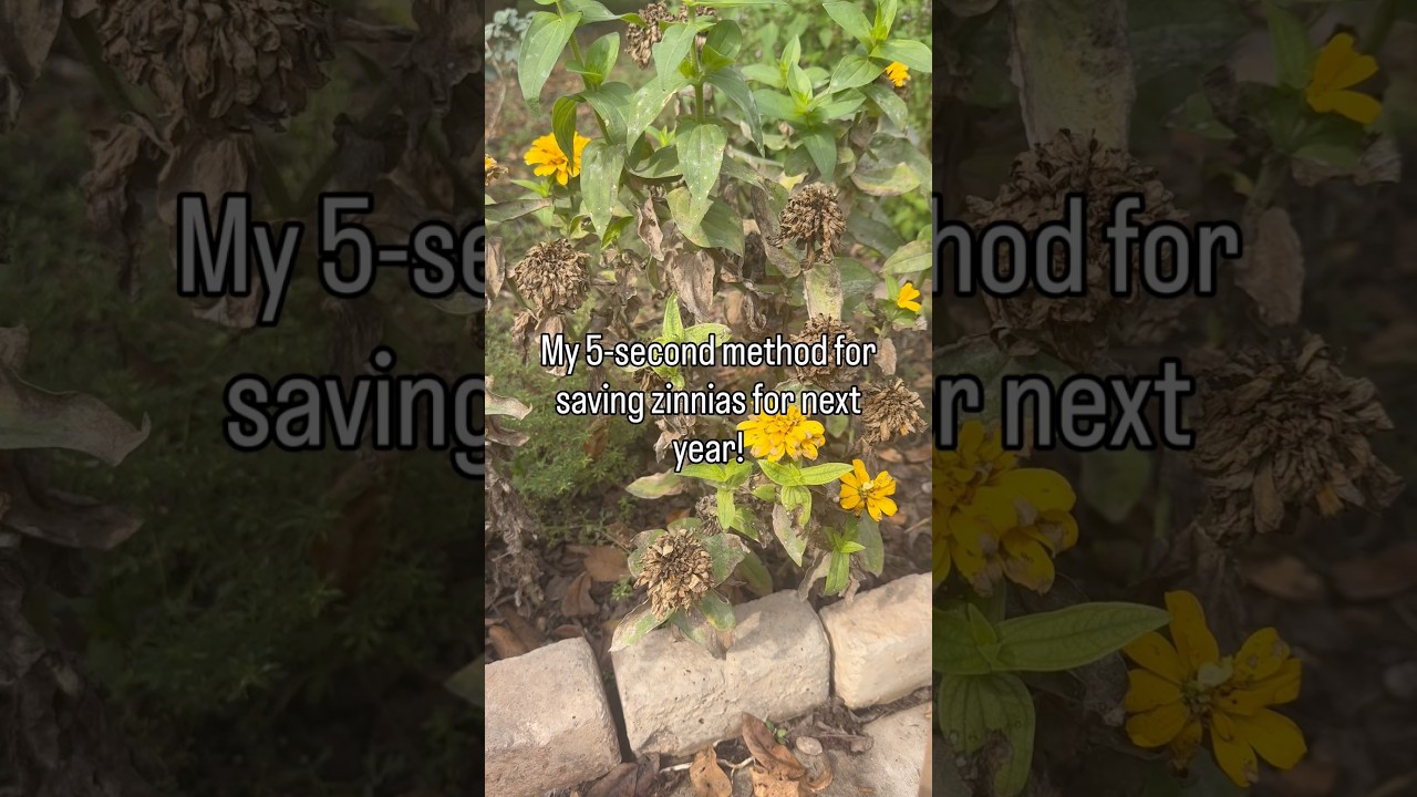 Uploads from From Seed to Spoon Garden Planning App