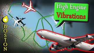 BIRD STRIKE + ENGINE VIBRATIONS | Plane Grounded for 6 Days at Boston