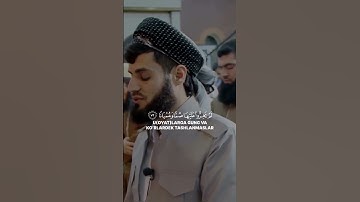 القارئ : رعد محمد الكردي سورة الفرقان 💞