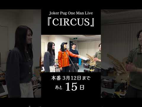 Joker Pug 1st Hall LIVE 『CIRCUS』本番当日2026.03.12(木)まで あと15日！！⁡ #jokerpug  #CIRCUS  #バンド  #ライブ  #絵本