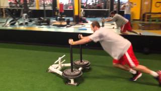 Sled Marches