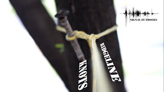 Ridgeline Knots: Part 1 | Two Minute Tuesday