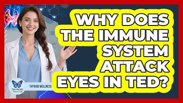 Why Does The Immune System Attack Eyes In TED? - Thyroid Wellness Hub