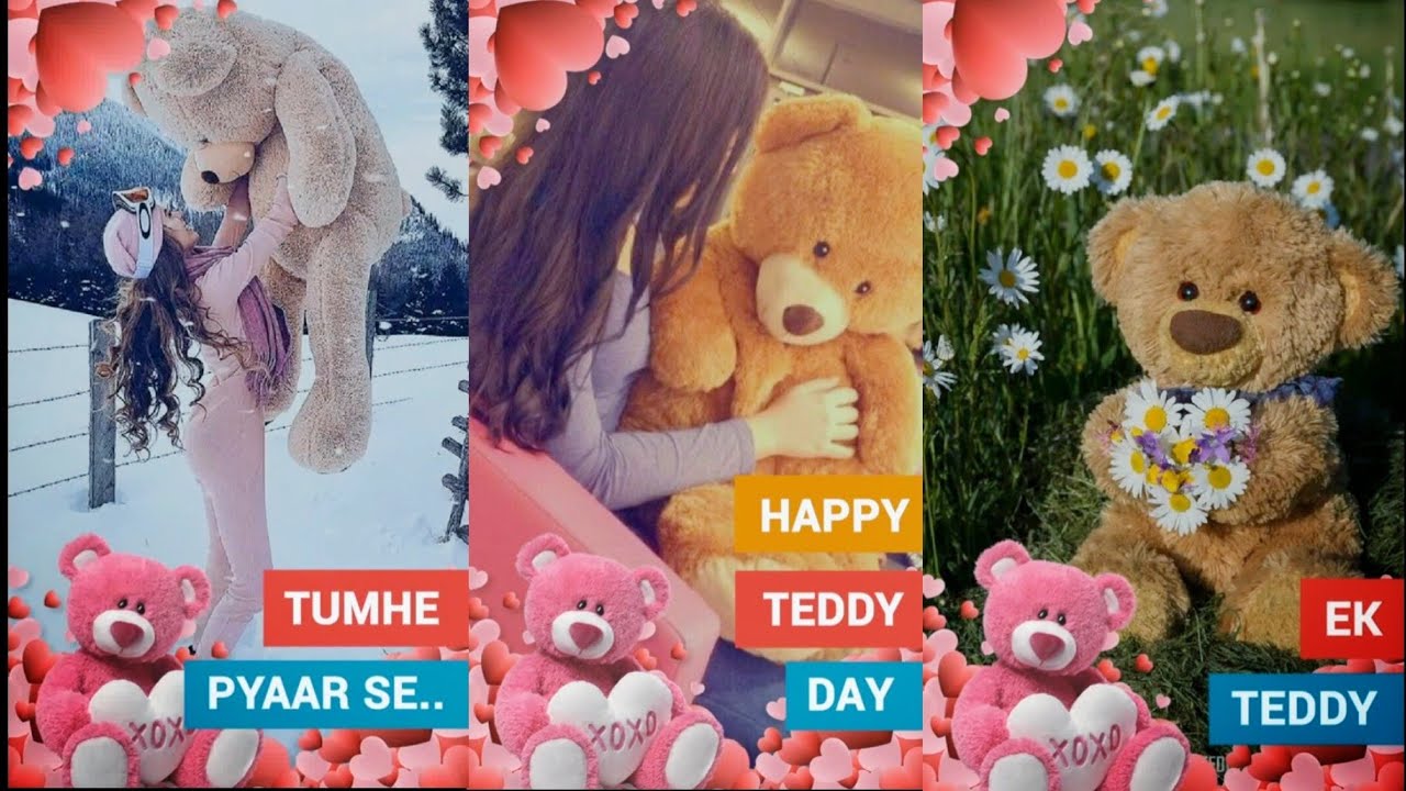 Teddy Bear Day Teddy Bear Day WhatsApp status Full Dcreen Status