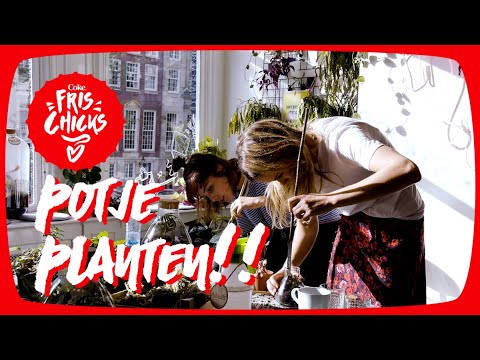De Frischicks bouwen een ZELFVOORZIENEND ecosysteem | Frischicks #14