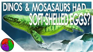 Dinos & Mosasaurs Had Soft-Shelled Eggs? || NEW DISCOVERY screenshot 5