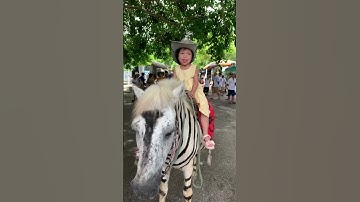 Nhong nhong cha là con ngựa 🐴 #nhongnhong #conngua