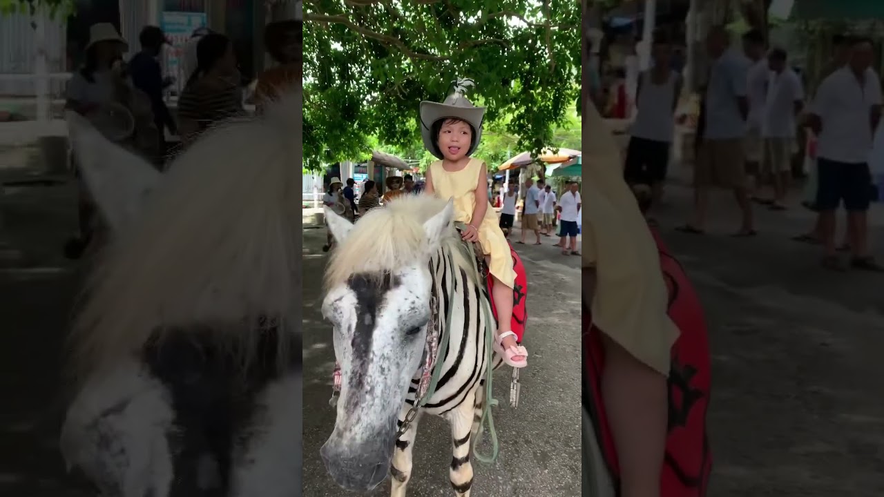 Nhong nhong cha là con ngựa 🐴 