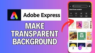 How to Make Transparent Background in Adobe Express 2024?