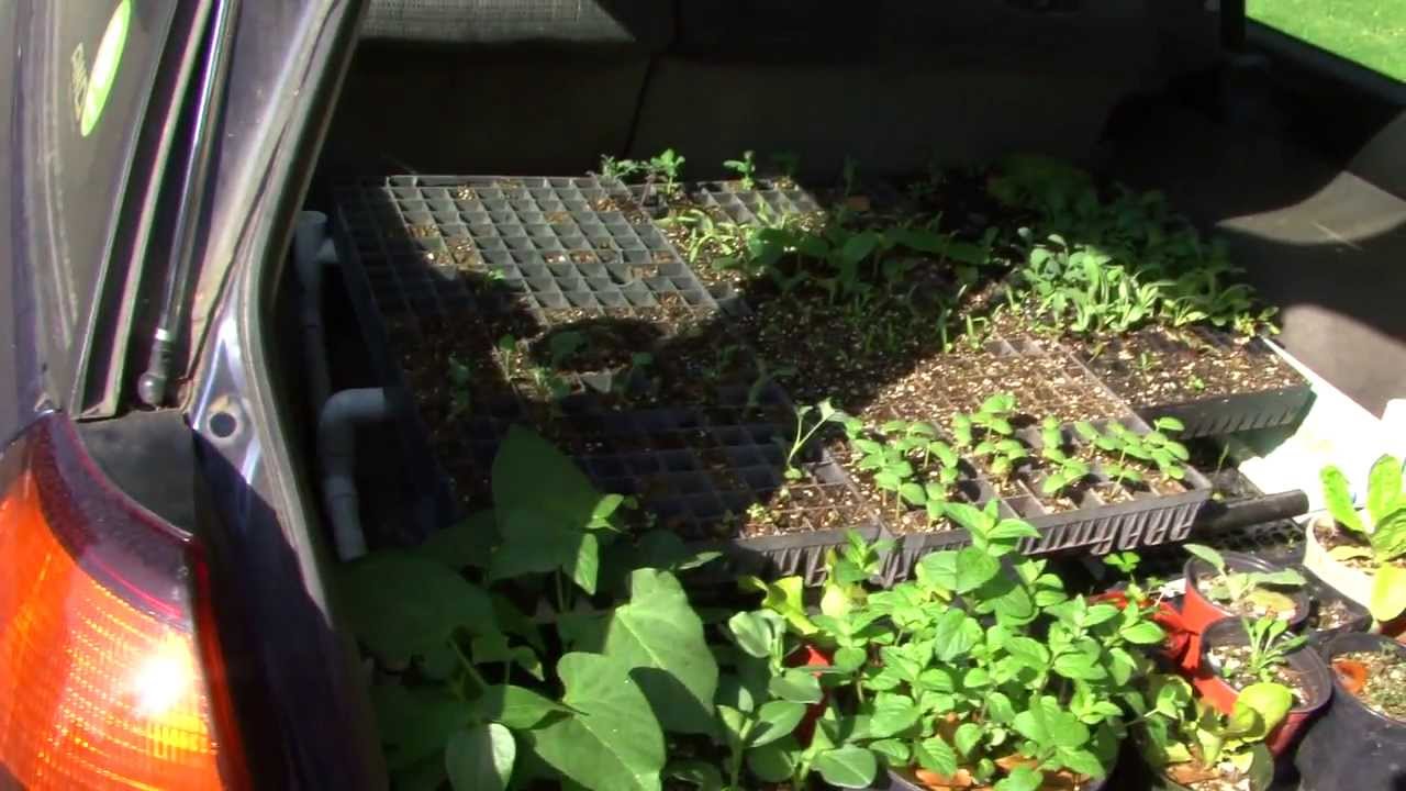 Home Grown Gardens Helping You Grow Your Own Food In Southern Home Grown Gardens Helping You Grow Your Own Food In Southern California