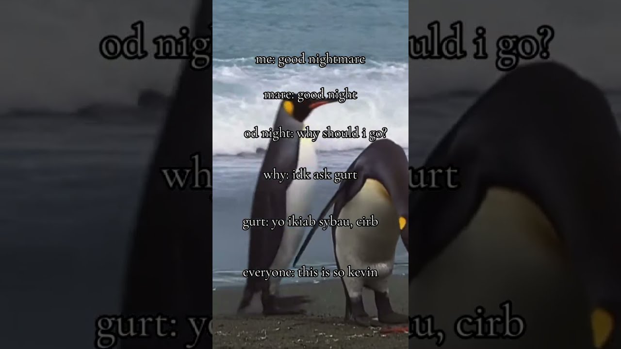 This Is So Kevin Tiktokmemes Memes Ts