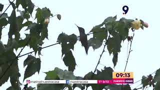 Parque Nacional Nonguén y Cerro Caracol vuelven a abrir sus puertas a la comunidad