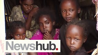 'Don't forget about us': Malnutrition rates soar in Ethiopia amid global distraction | Newshub