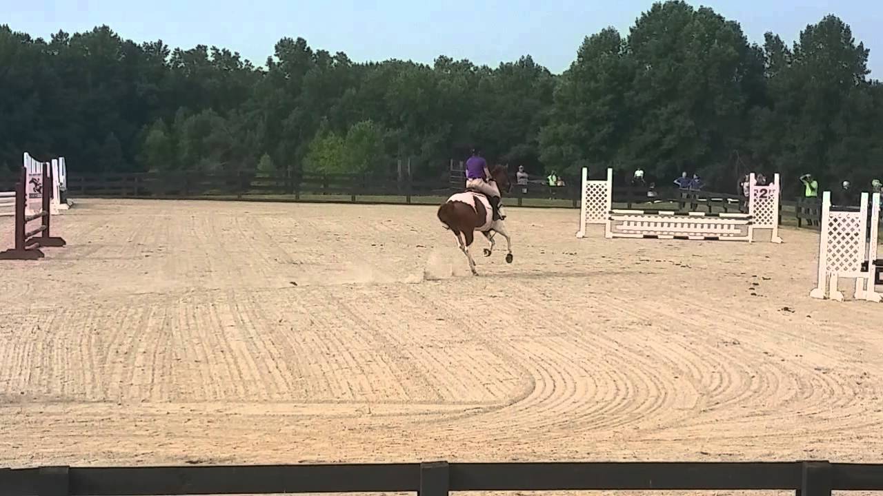 Beginner Novice Stadium Jumping - Oxer Farm (August 15, 2015) - YouTube
