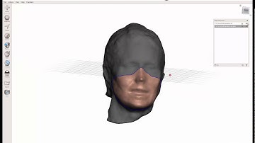 Fusion 360 - Custom Facemask Design