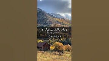 أكتب شيء يشفعلك وتؤجر عليه 🕊.  القارئ: عبدالرحمن الماجد. #قران #قران_كريم #قرآن_كريم #quran #islam