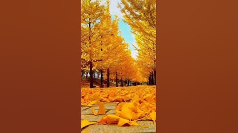 تلاوة جميلة جدا جدا تريح النفس و تملأها طمأنينة و سكونا