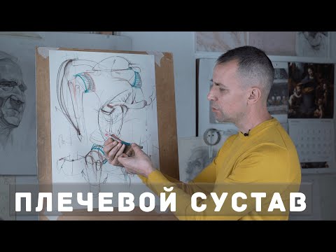 Плечевой сустав - А. Рыжкин