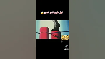 اول نمر المقنع لأول مرة 