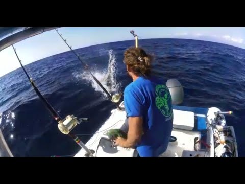 IL TONNO MI STRAPPA LA CANNA dal gommone!! INCREDIBILE!!