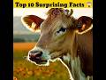 Top secret Amazing kitchen Hacks 🪰 😱| Mind Blowing Hacks In Hindi | Random Facts #facts #shorts