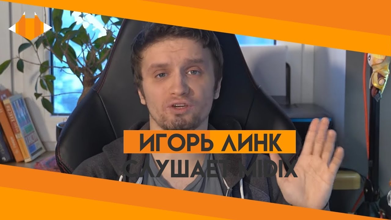 Миррор линк шкода