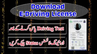 How to get E-Driving License online/Driving License by SUN IT PROFESSIONAL screenshot 5