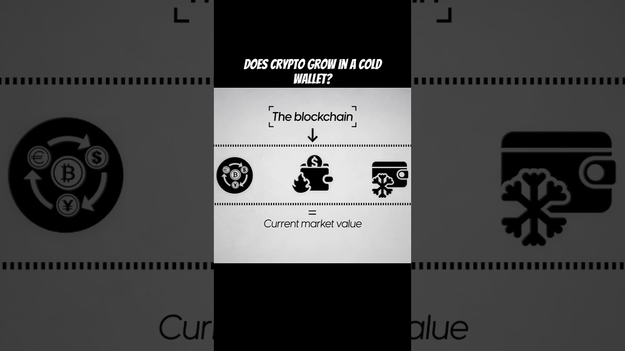Does crypto gain value in a cold wallet? #crypto #cryptocurrencywallet -  YouTube