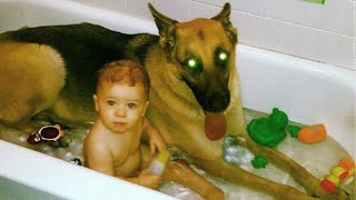 When we are creating a happy childhood together - Cute dog and little human