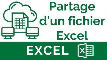 Excel #33: Comment partager et collaborer avec d