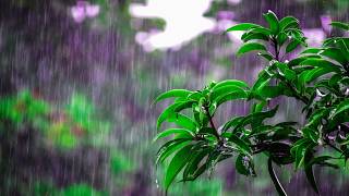 Dreams- for massage spas, healing and deep relaxation.