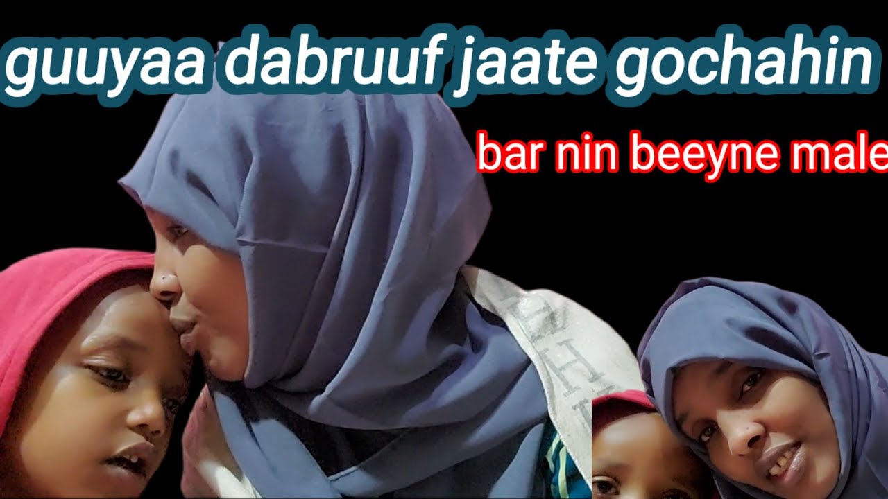 guuyaa darbuuf jaatee moo