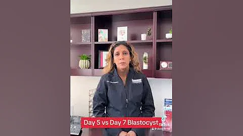 Day 5 vs Day 7 blastocyst! #ivf #blastocyst #blast #fertility #infertility #fertilityjourney