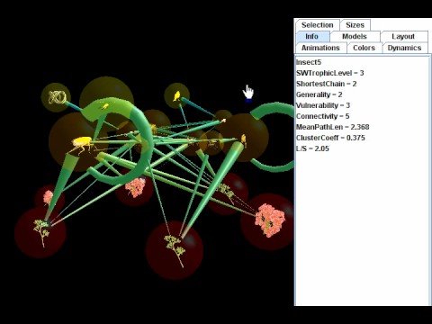 Food webs: Visualizing and Understanding Interdependence in Nature ...