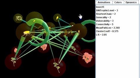 Food webs: Visualizing and Understanding Interdependence in Nature